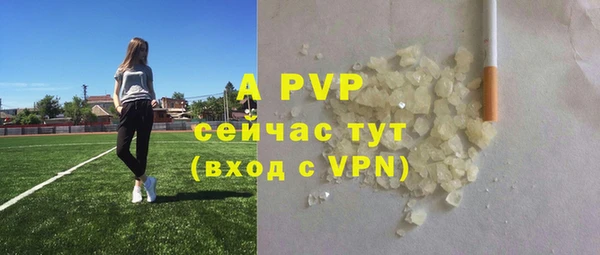 спиды Ростов